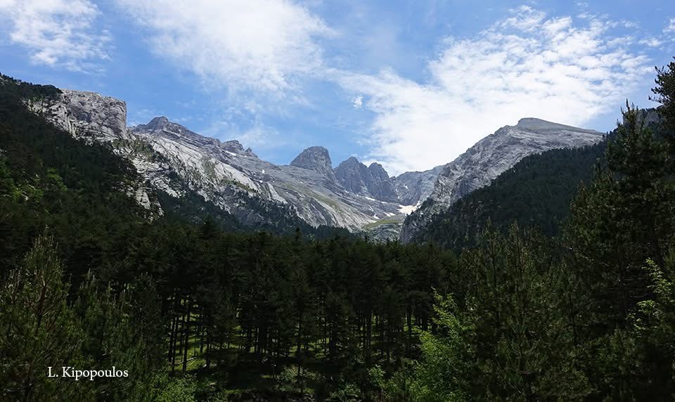 The peaks of Mount Olympus above the forest