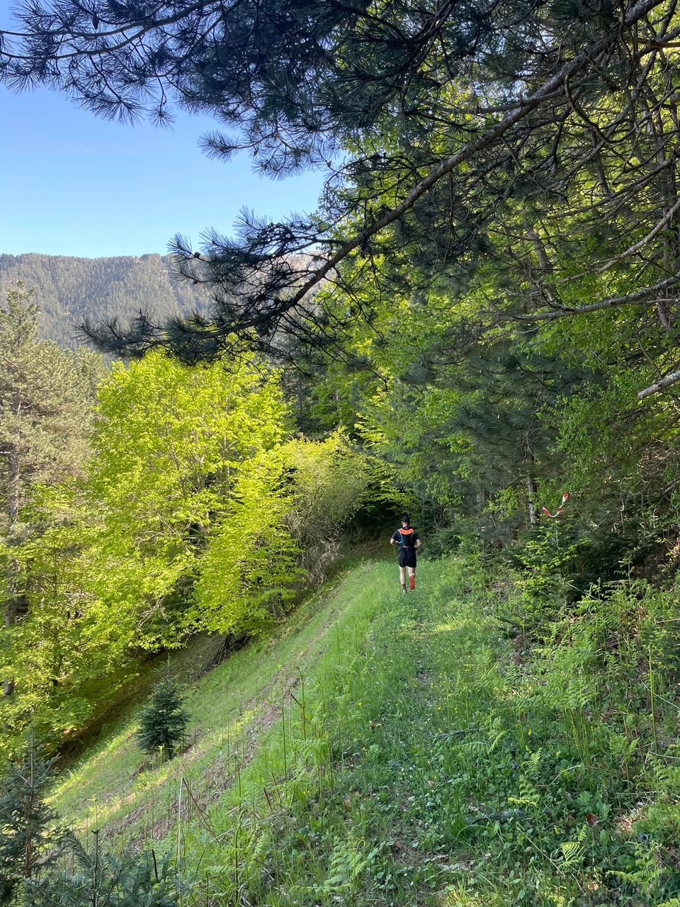 Trail and mountain landscape of Mount Olympus