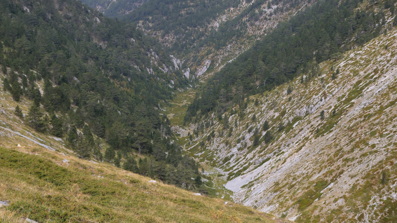 Trail and mountain landscape of Mount Olympus